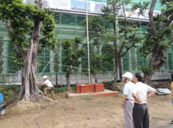 大型喬木移植會勘，共3張圖片