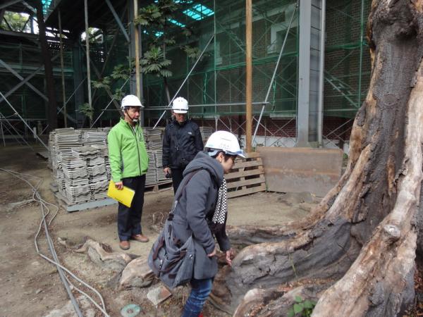 1030211社大環境小組研究員晁瑞光建議保護大型喬木要點，共3張照片